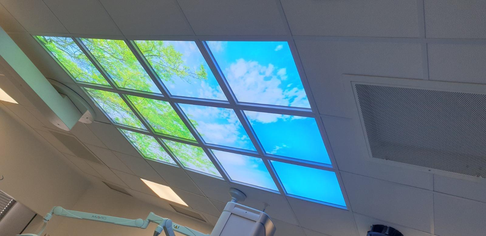 Dalles lumineuses représentant le ciel bleu et des branches vertes