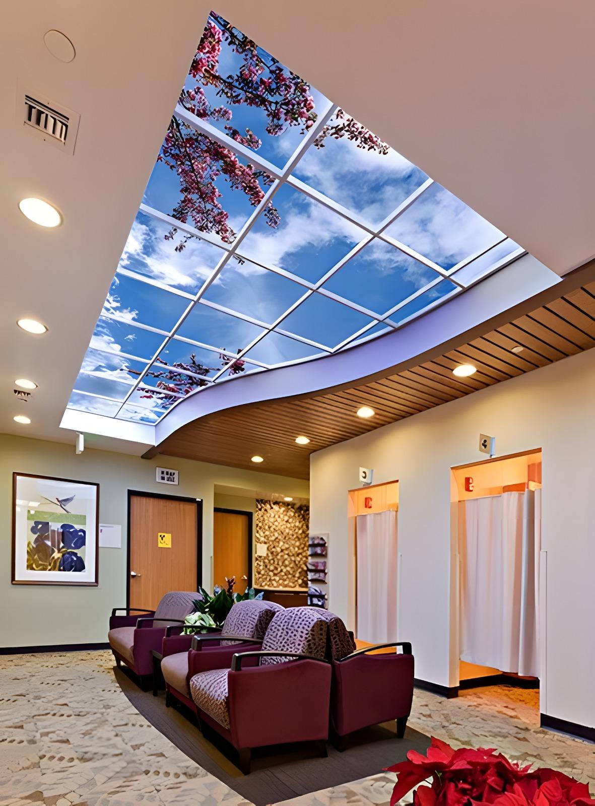 Plafond sky ceiling avec ciel bleu et branches au-dessus d’un salon