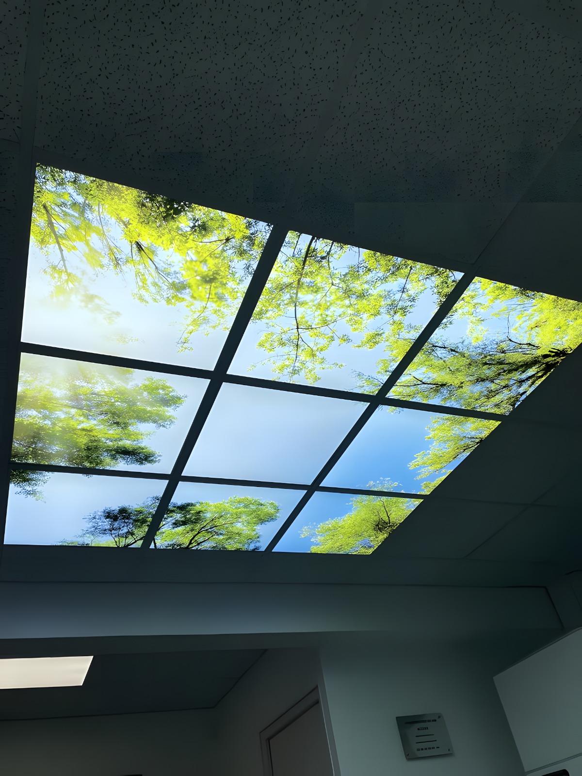 Dalles de plafond lumineux avec ciel et feuillage vert