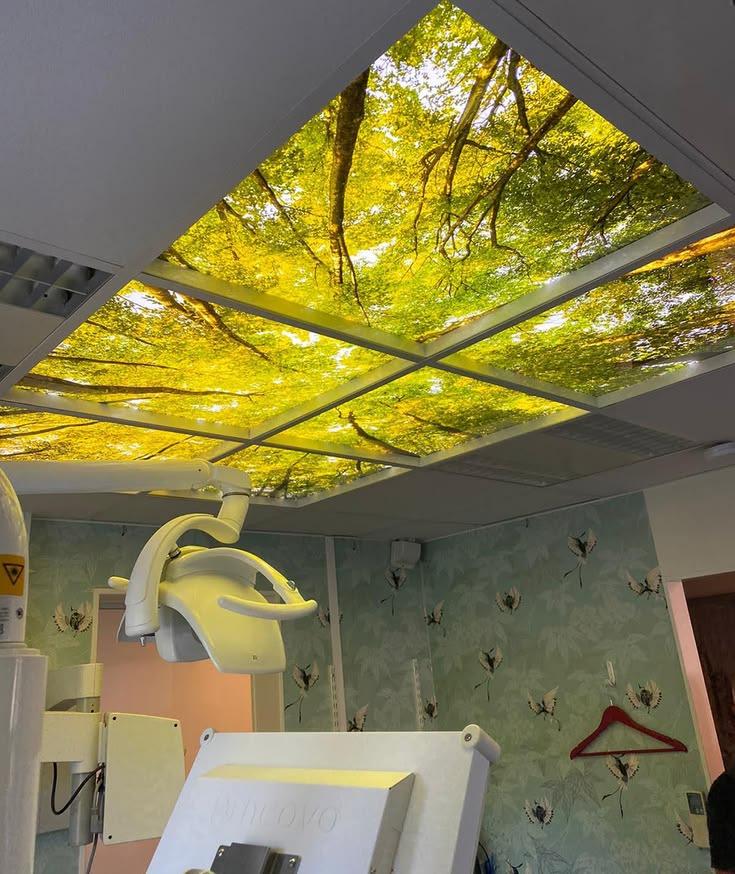 Faux ciel lumineux avec feuillage jaune et vert au plafond